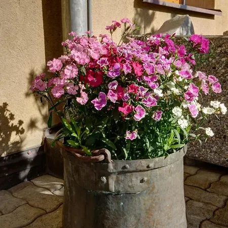 Apartamento Chesa Munteratsch 1 1 2-zimmerwohnung 304 Typ D