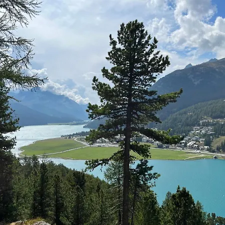 Chesa Munteratsch 1 1 2-zimmerwohnung 304 Typ D * Silvaplana