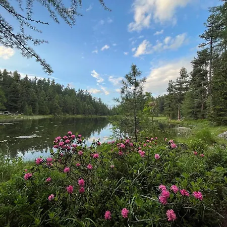 Chesa Munteratsch 1 1 2-zimmerwohnung 304 Typ D *