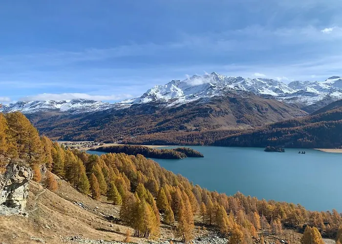 Chesa Munteratsch 1 1 2-zimmerwohnung 304 Typ D Daire Silvaplana