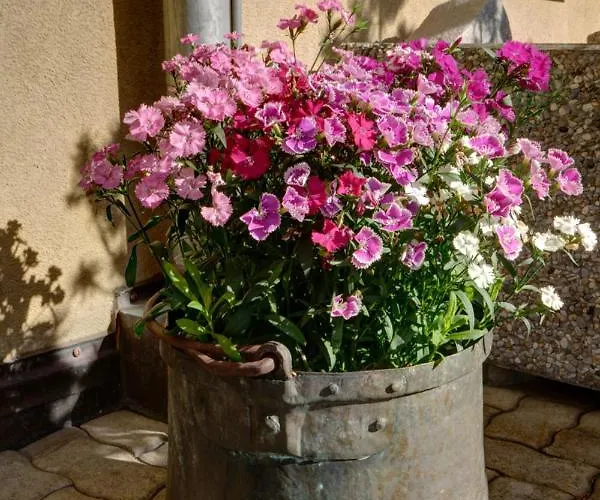 Daire Chesa Munteratsch 1 1 2-zimmerwohnung 304 Typ D