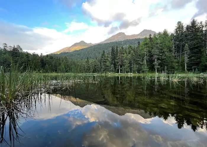 Chesa Munteratsch 1 1 2-zimmerwohnung 304 Typ D Daire