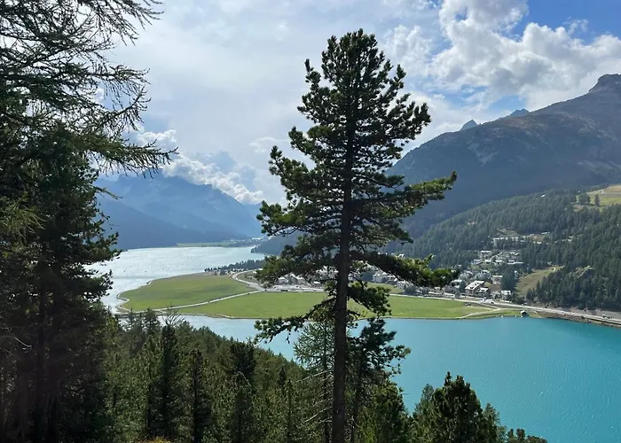 Chesa Munteratsch 1 1 2-zimmerwohnung 304 Typ D * Silvaplana