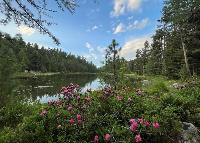 Chesa Munteratsch 1 1 2-zimmerwohnung 304 Typ D *