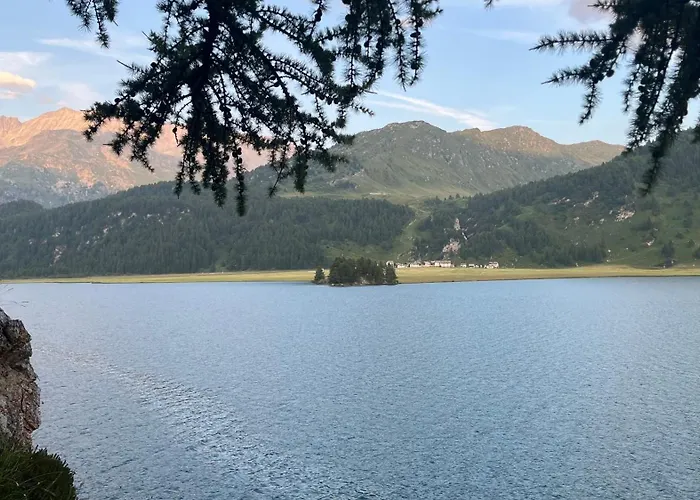 Chesa Munteratsch 1 1 2-zimmerwohnung 304 Typ D * Silvaplana