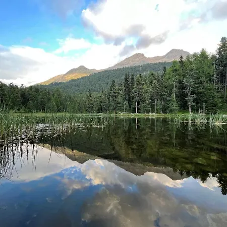 Chesa Munteratsch 1 1 2-zimmerwohnung 304 Typ D 아파트