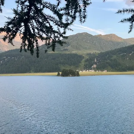 Chesa Munteratsch 1 1 2-zimmerwohnung 304 Typ D * 실파플라나